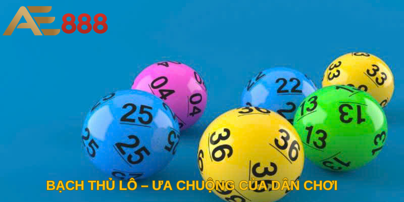 Bạch thủ lô – ưa chuộng của dân chơi