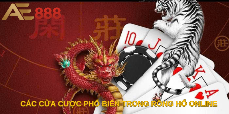 Các cửa cược phổ biến trong Rồng Hổ online