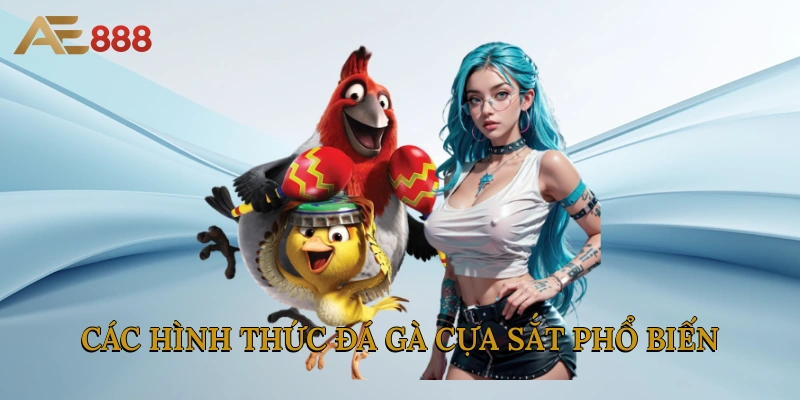 Các hình thức cá cược đá gà cựa sắt phổ biến