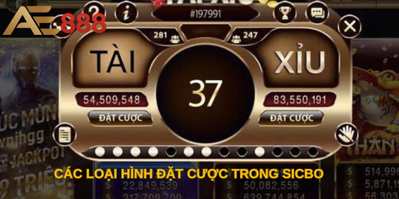 Các loại hình đặt cược trong Sicbo