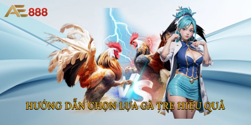 Hướng dẫn chọn lựa gà tre hiệu quả