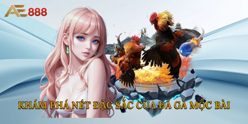 Khám phá nét đặc sắc của đá gà Mộc Bài