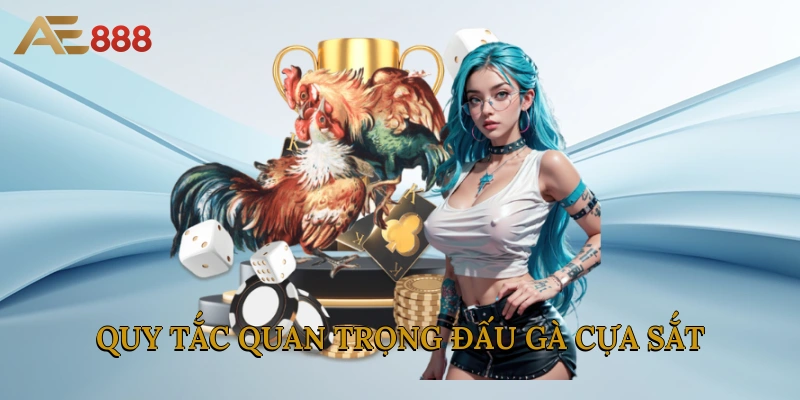 Quy tắc quan trọng đấu gà cựa sắt