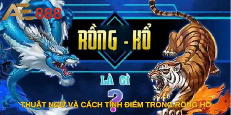 Thuật ngữ và cách tính điểm trong Rồng hổ