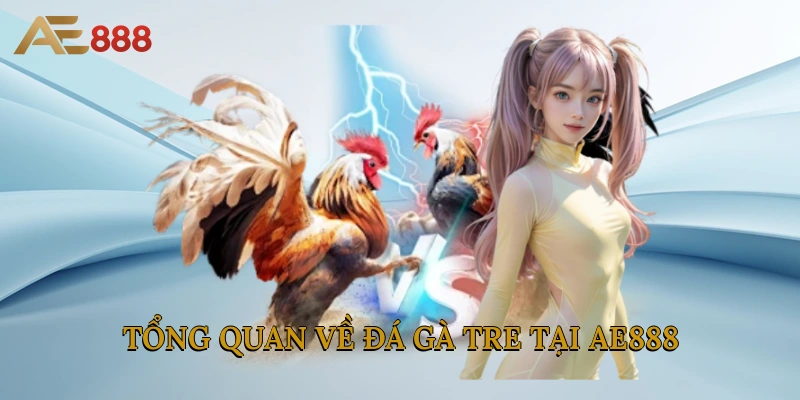 Tổng quan về đá gà tre tại AE888